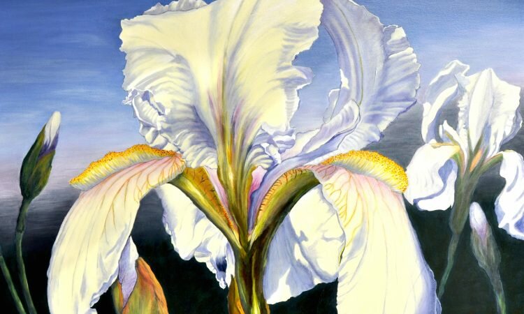 Connie-Jean Moore artist - wild irises