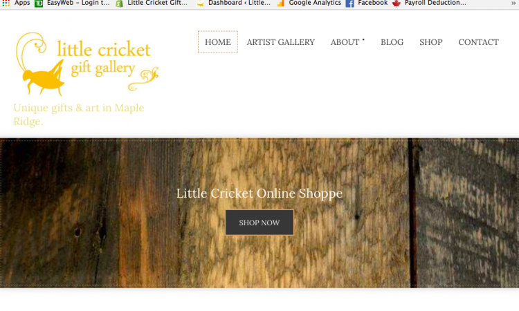 Little cricket online shop